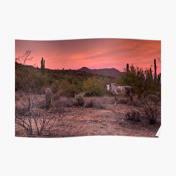 A Tranquil Moment Poster