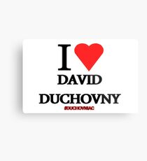 I Love David Duchovny Metal Print