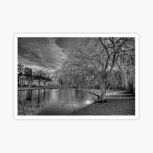 Item preview, Winter Willow B&W designed and sold by tomg.