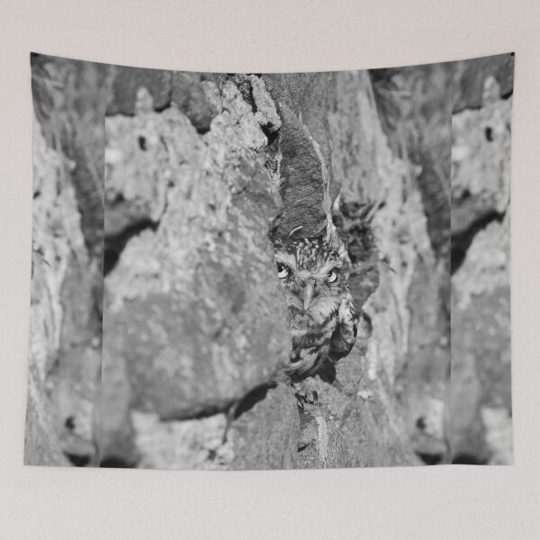 Item preview, Little Owl  designed and sold by FXST.