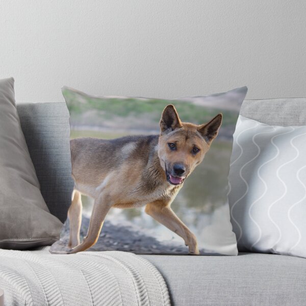 Item preview, Happy Dingo designed and sold by dPphodography.