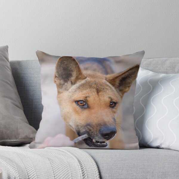 Item preview, Dingo Tug designed and sold by dPphodography.