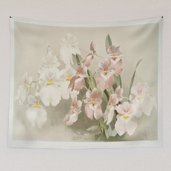 Item preview, Orchids designed and sold by janusa.