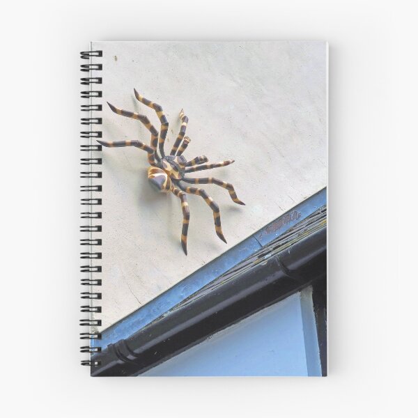 Item preview, Itsy Bitsy Spider designed and sold by Lesliebc.