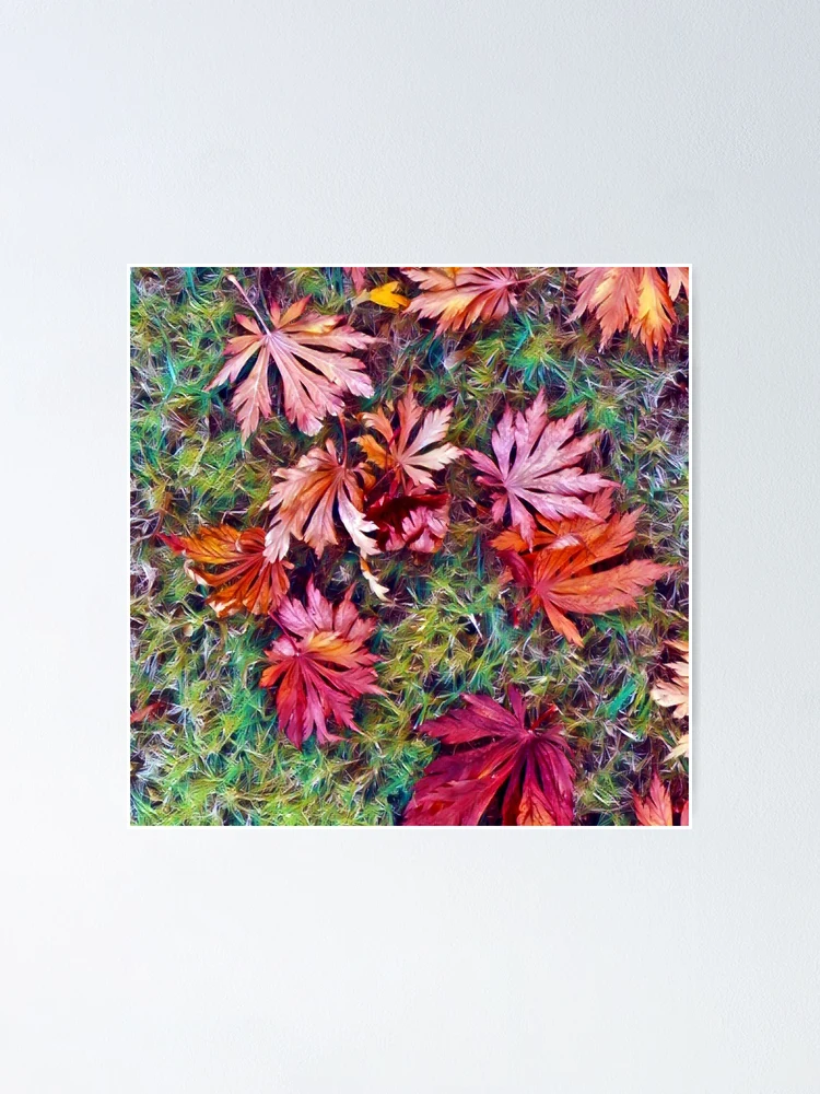 Thumbnail 1 of 3, Poster, Maple Fall designed and sold by DigiDog Designs.
