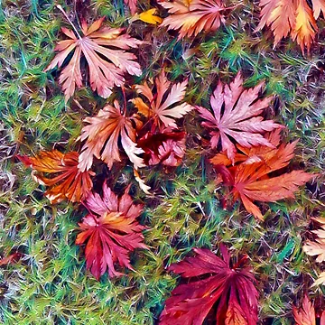 Artwork thumbnail, Maple Fall by DigiDog Designs