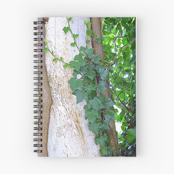 Item preview, Tree Bark With Moss And Ivy designed and sold by Fara.