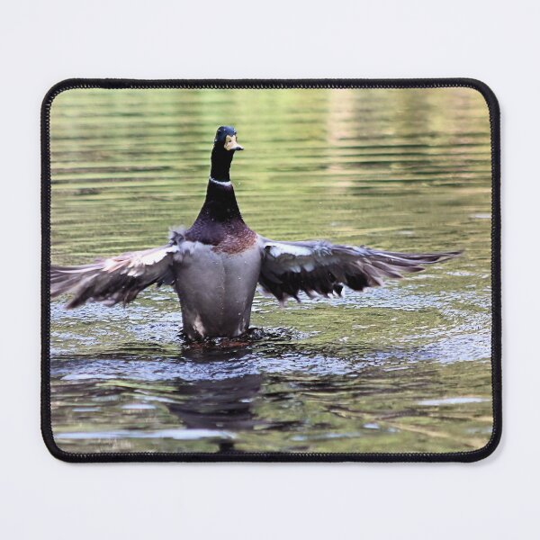Item preview, FLAP THEM WINGS designed and sold by BOLLA67.