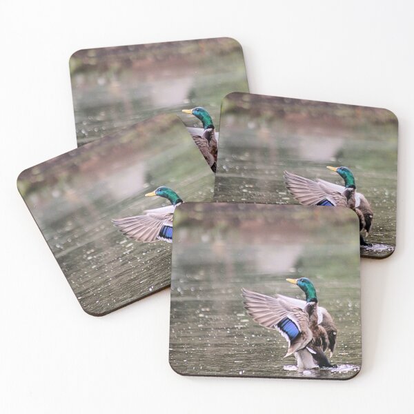 Item preview, SHOWING OFF designed and sold by BOLLA67.