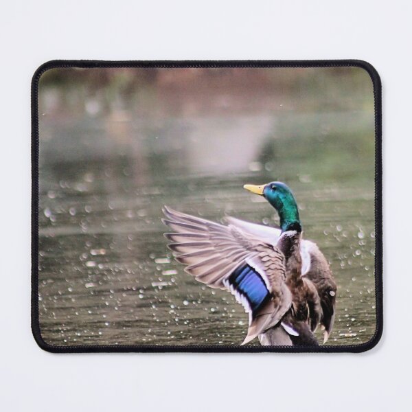 Item preview, SHOWING OFF designed and sold by BOLLA67.