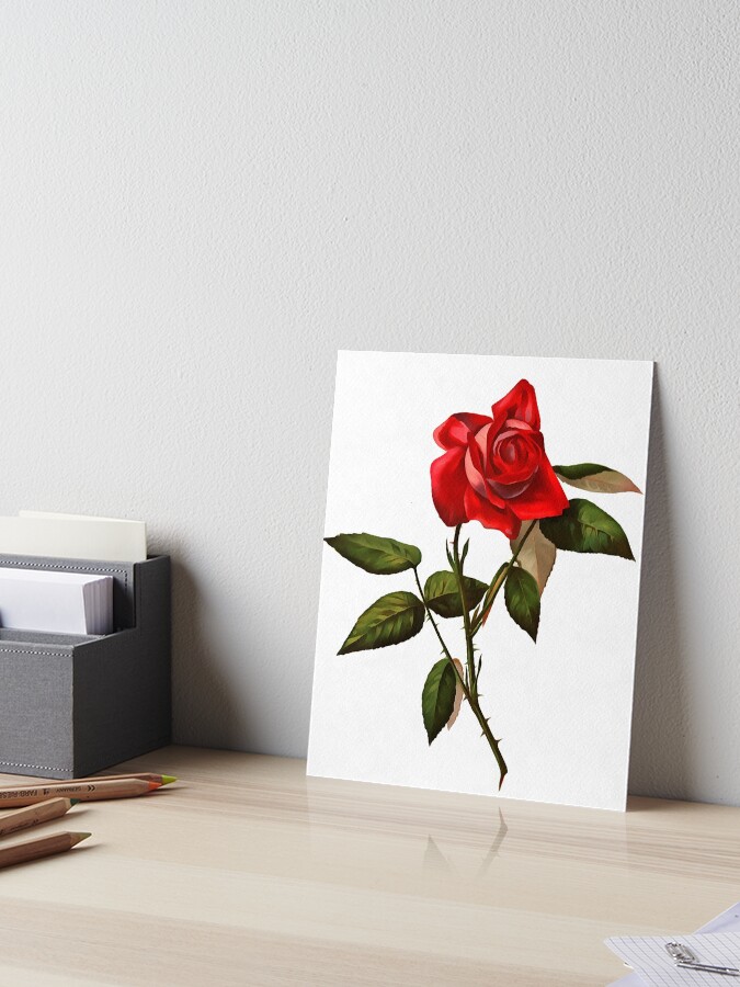 絵画 Red Rose flower-painting-red-rose-