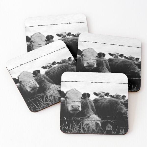Item preview, Curious Cattle Black & White designed and sold by madibroo.