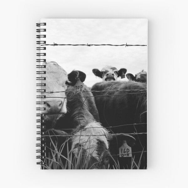 Item preview, Curious Cattle Black & White designed and sold by madibroo.
