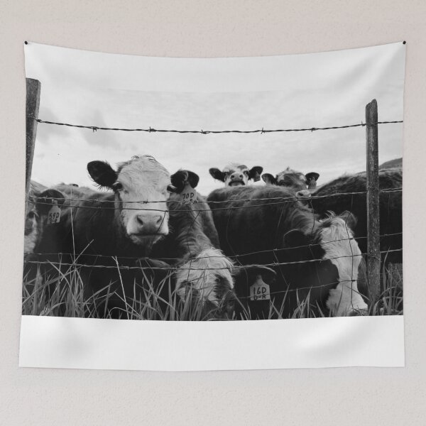 Item preview, Curious Cattle Black & White designed and sold by madibroo.