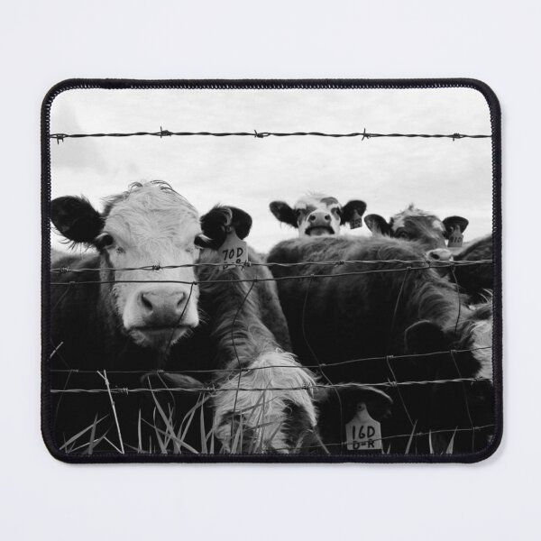 Item preview, Curious Cattle Black & White designed and sold by madibroo.