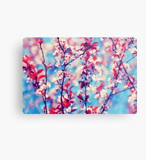 Blooming Metal Print