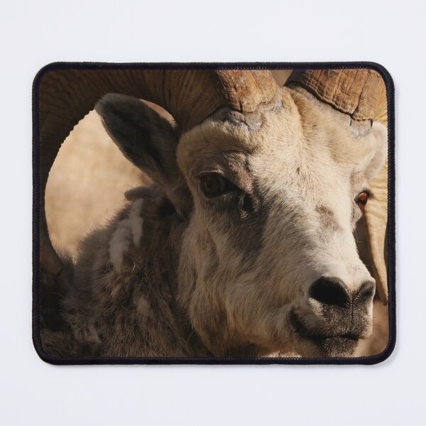 Item preview, Ram designed and sold by Alyce Taylor.