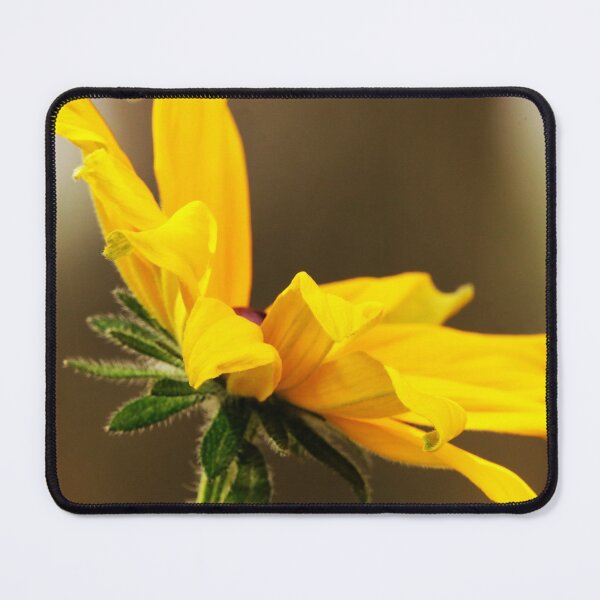 Item preview, Brown Eyed Susan designed and sold by Alyce Taylor.