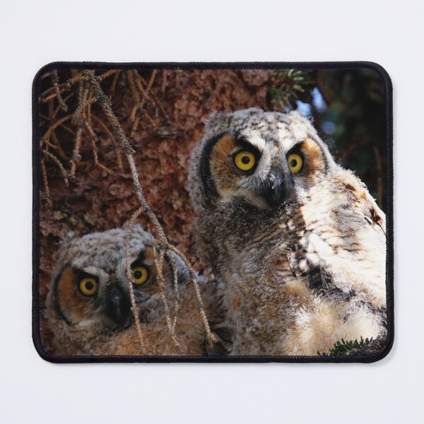 Item preview, Siblings designed and sold by Alyce Taylor.