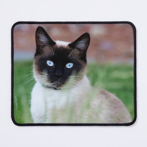 Item preview, Sassy designed and sold by Alyce Taylor.