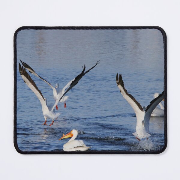 Item preview, Flight of the Pelicans designed and sold by Alyce Taylor.