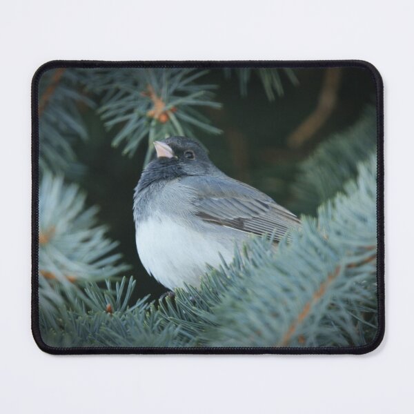 Item preview, Dark Eyed Junco in the Evergreen Tree designed and sold by Alyce Taylor.