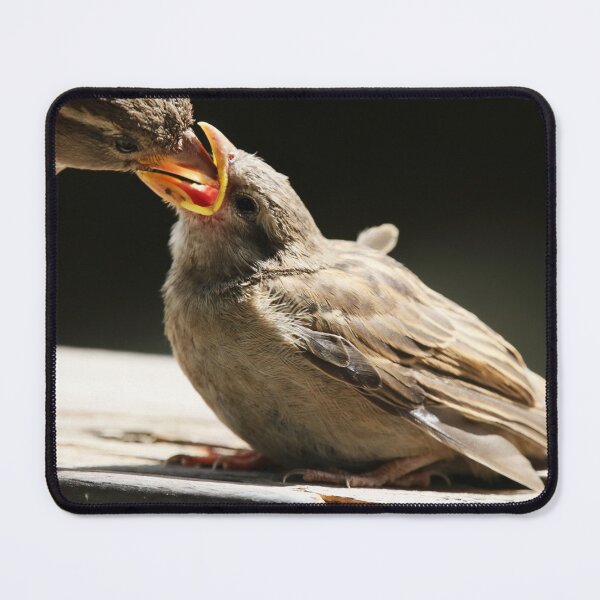 Item preview, Feeding Time designed and sold by Alyce Taylor.