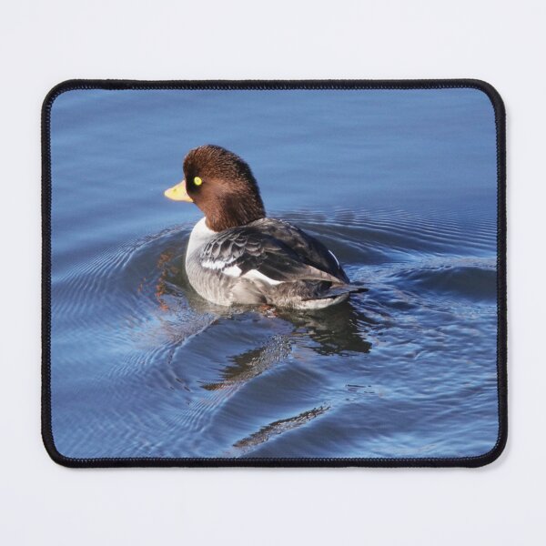 Item preview, Barrow's Goldeneye Female designed and sold by Alyce Taylor.