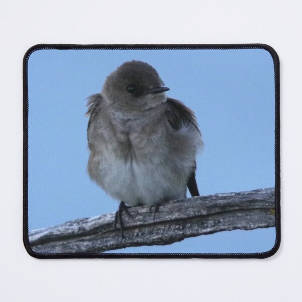 Item preview, Bank Swallow designed and sold by Alyce Taylor.