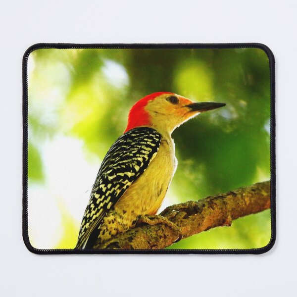 Item preview, Male Red-bellied Woodpecker designed and sold by Alyce Taylor.