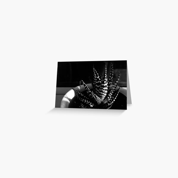 Black and White Tiny Succulent Greeting Card