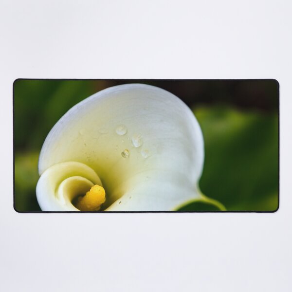 Item preview, White calla lily flower designed and sold by SvetlanaSF.