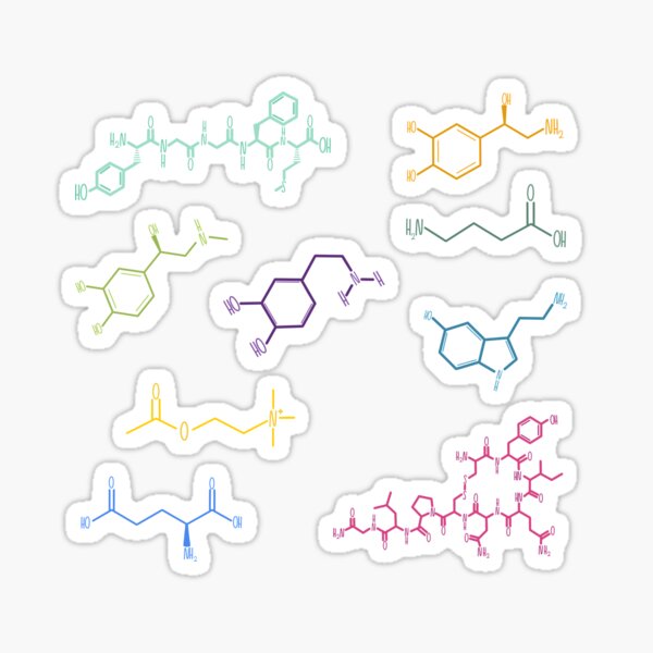Neurotransmitters Happy Chemicals Sticker Sheet Sticker