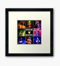 David Duchovny Rocks Framed Print