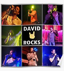 David Duchovny Rocks Poster