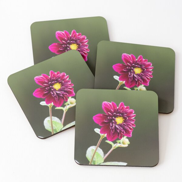 Item preview, Surrounding the yellows. Dahlia designed and sold by Jouko Lehto Photography.