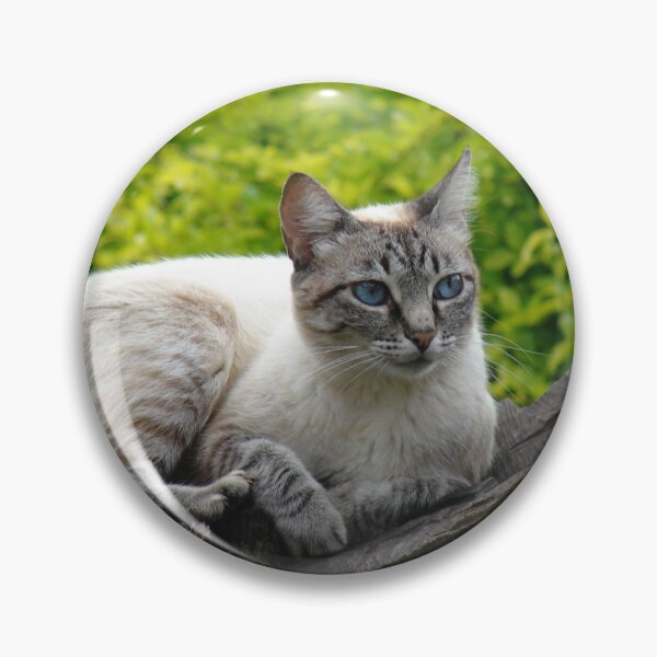Item preview, White Blue eyed Furry Cat designed and sold by Luftpax.