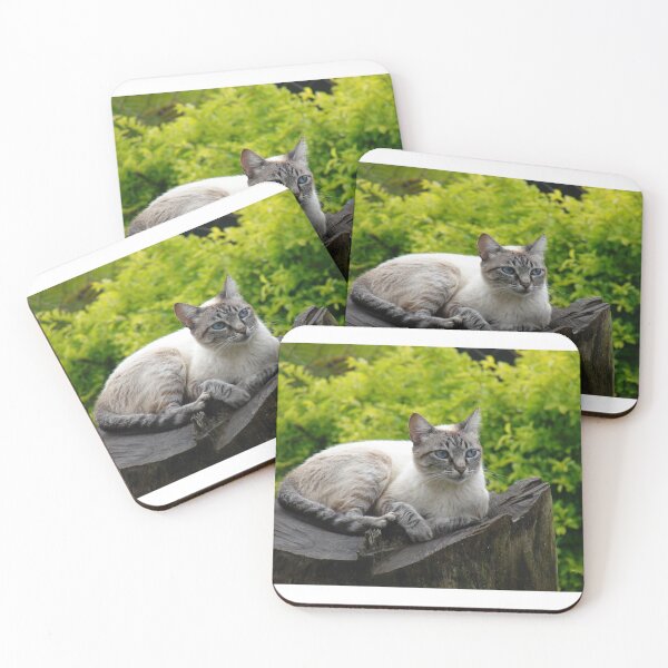 Item preview, White Blue eyed Furry Cat designed and sold by Luftpax.