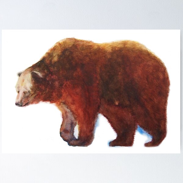 Bear Poster