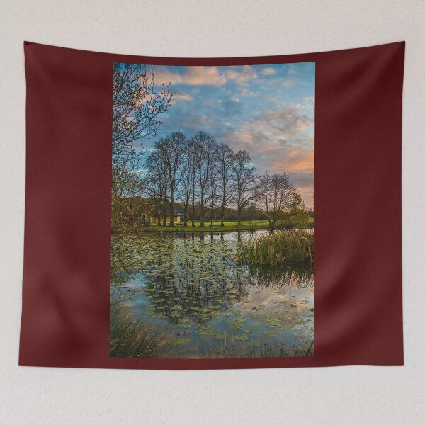 Item preview, Reflections and Lilies designed and sold by Dave Williams.