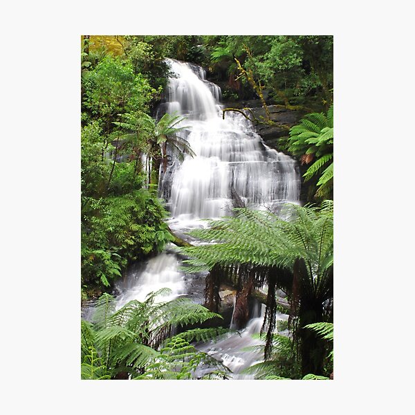 Triplet falls with Australian tree ferns Photographic Print
