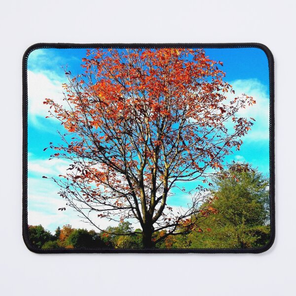 Item preview, Chestnut Tree in Autumn designed and sold by angel1.