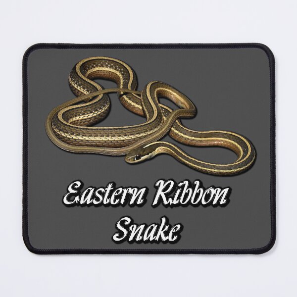 Item preview, Eastern Ribbon Snake designed and sold by Paul-Prints.