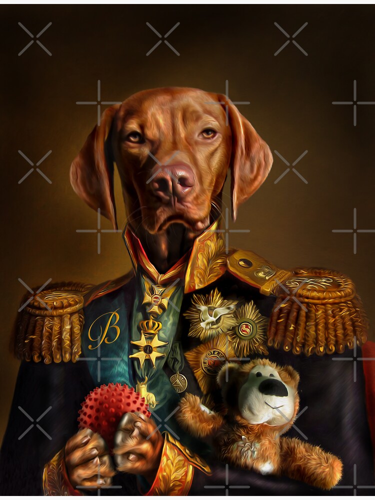 Bertie the Hungarian Vizsla - Dog Portrait by carpo17