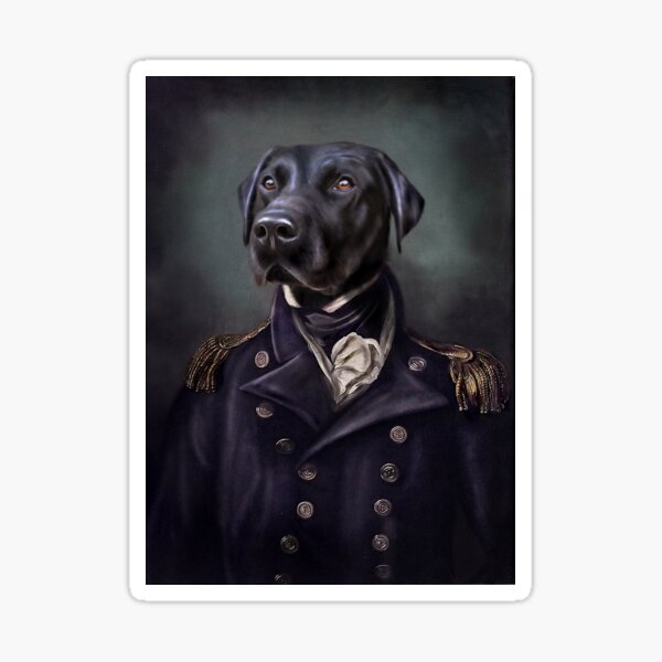 Labrador Portrait - Jake Sticker