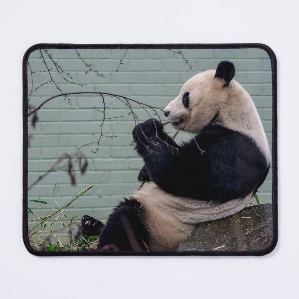 Item preview, Panda and Robin designed and sold by axp7884.