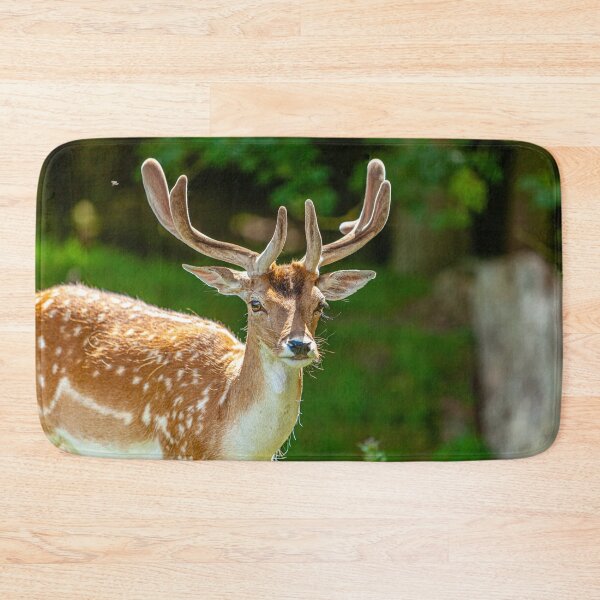 Item preview, Fallow Buck in velvet designed and sold by Dalyndigital Photography.
