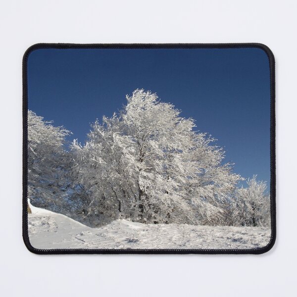 Item preview, Winter Forest designed and sold by ProhibitionStickers.