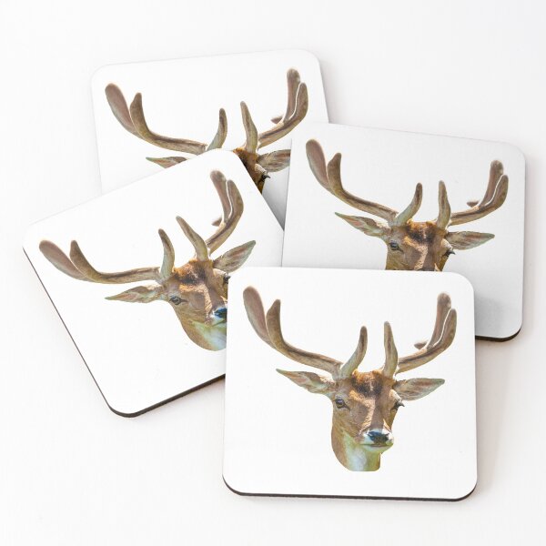 Item preview, Buck in Velvet designed and sold by Dalyndigital Photography.