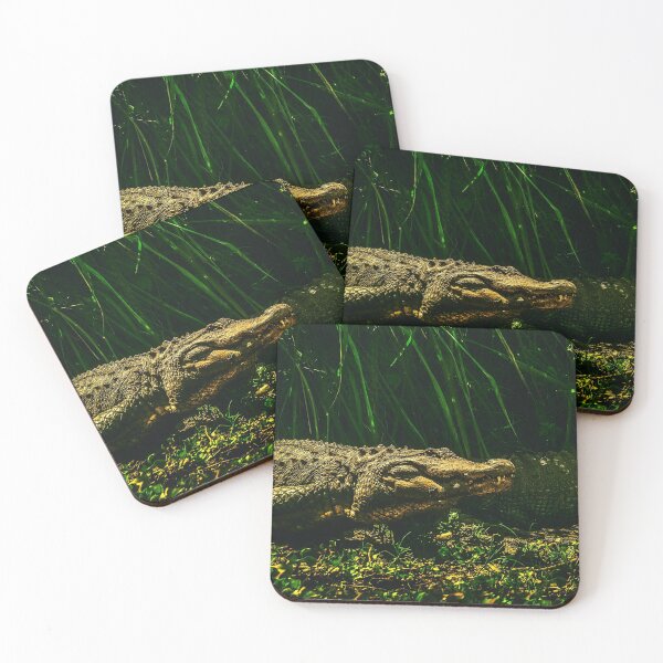 Item preview,  crocodile photo with high resolution quality designed and sold by Allyouneed-2.